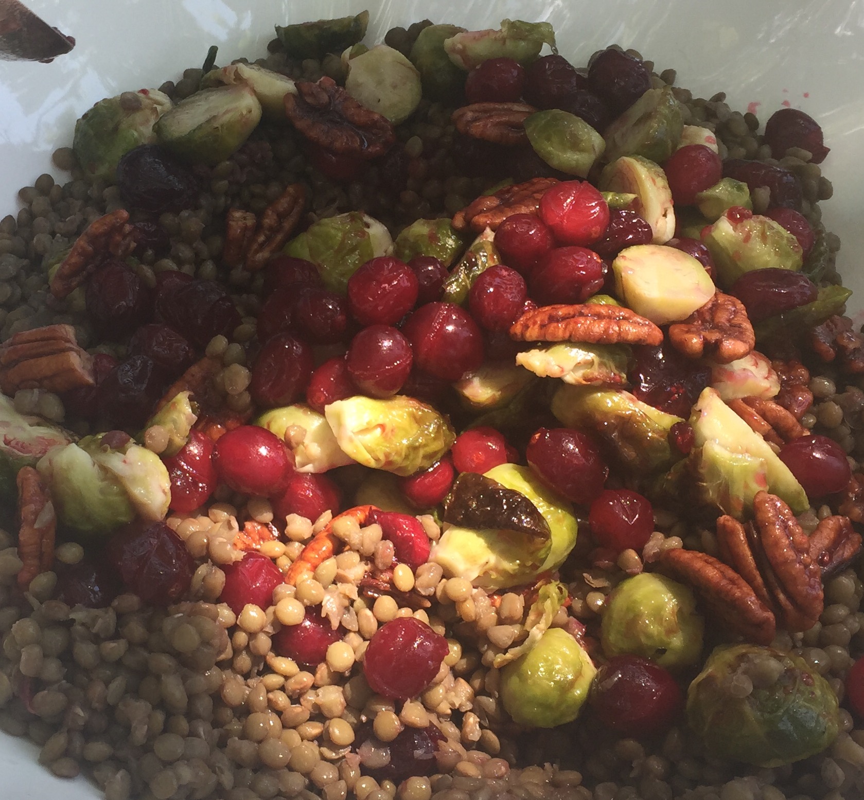 Lentils with Roasted Brussel Sprouts, Cranberries and Candied Pecans