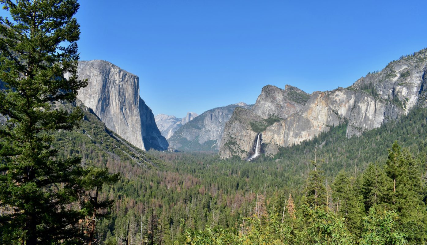 Top five family activities in Yosemite