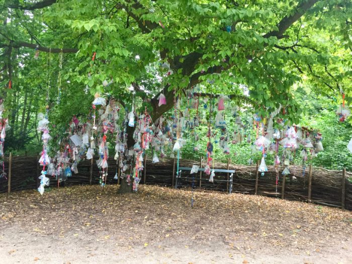 Dummy or pacifier tree in Fredericksburg Have