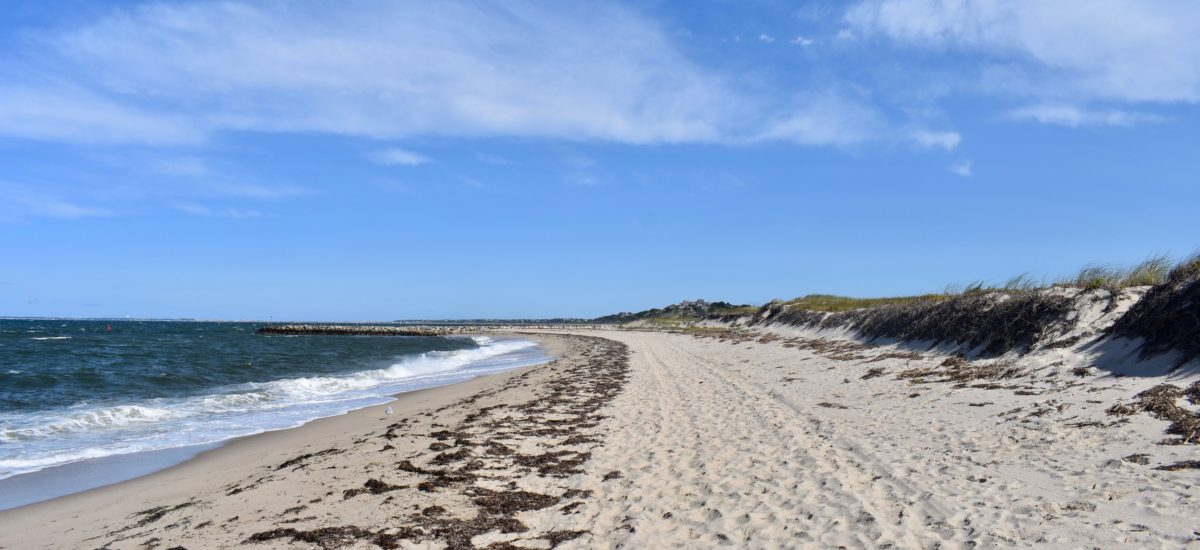 Life is a Beach. Manhattan Beach, The Hamptons and Cape Cod