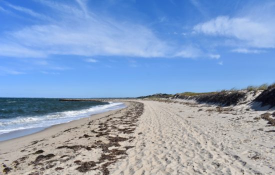 Life is a Beach. Manhattan Beach, The Hamptons and Cape Cod