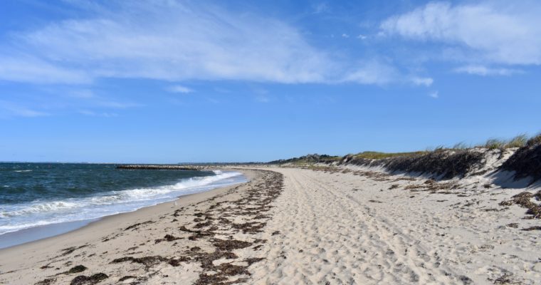 Life is a Beach. Manhattan Beach, The Hamptons and Cape Cod