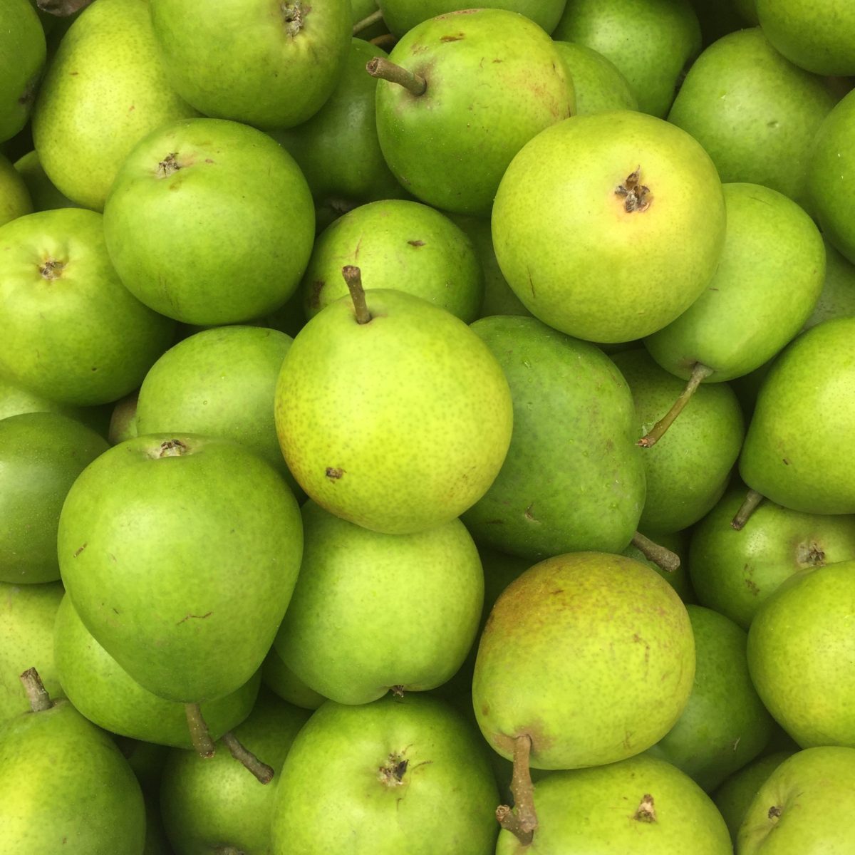 Green Pears