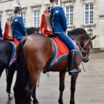 Queen's horses waiting patiently