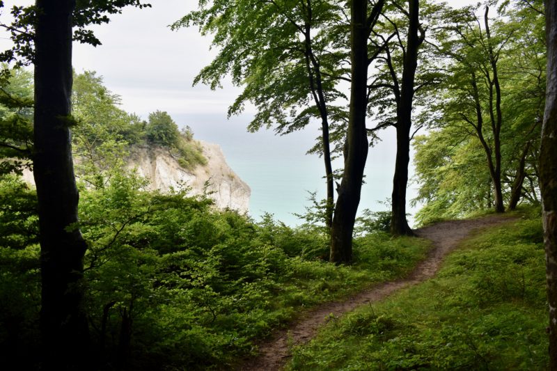 At the top of the cliff at Mons Klint