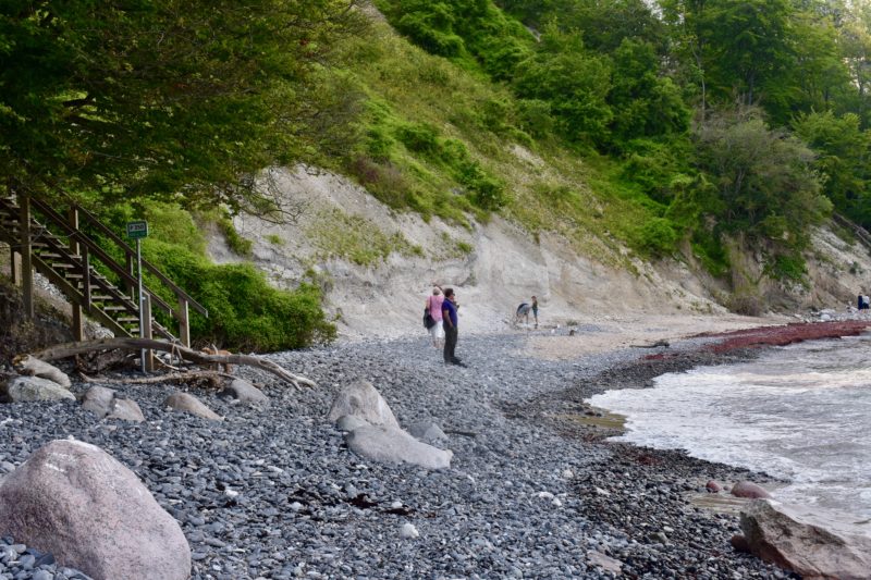 Beach and Steps at Mons Klint