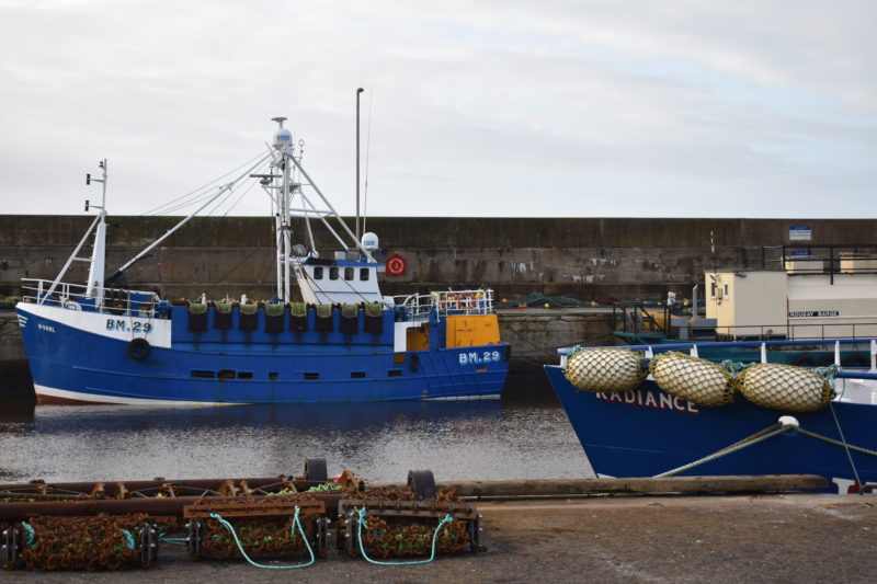 Macduff Harbour