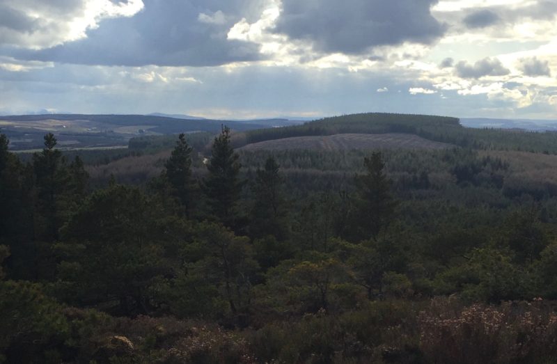 View from Bin Hill
