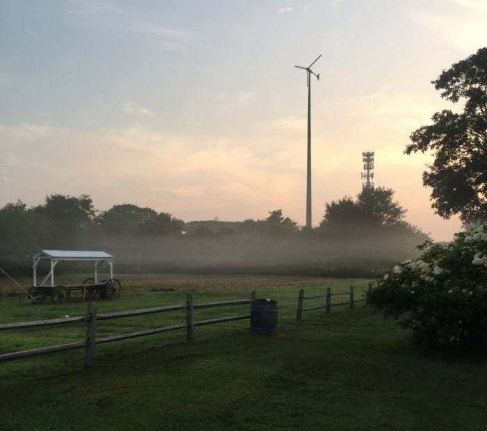 early morning at the farm