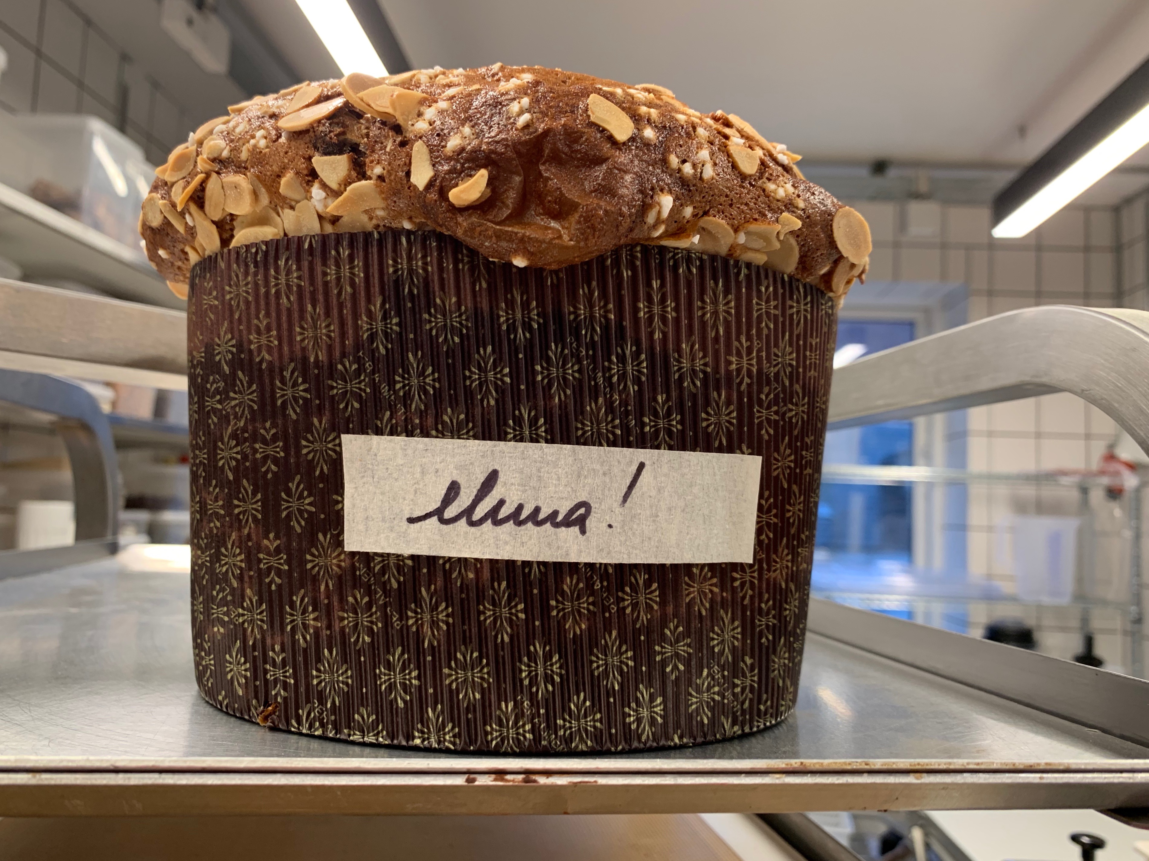 panettone at Hart Bakery